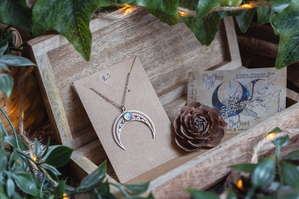 VENTE PRIVÉE D'AUTOMNE - Illustrations & Bijoux fantaisie ClairObscur Art