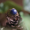 Bague elfique "Elwing" Lapis lazuli - Ajustable - Illustrations & Bijoux fantaisie ClairObscur Art