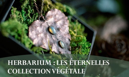 Herbarium : Les Éternelles – Bijoux végétaux faits main en cuivre - Illustrations & Bijoux fantaisie ClairObscur Art