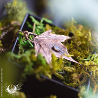 Collier Feuille de Lierre & Pierre de lune arc-en-ciel
