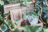 VENTE PRIVÉE D'AUTOMNE