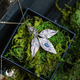 Collier Feuille de Nandina & Labradorite - Illustrations & Bijoux fantaisie ClairObscur Art