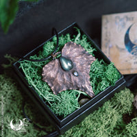 Feuille de Hêtre & Ambre de la mer Baltique - Illustrations & Bijoux fantaisie ClairObscur Art