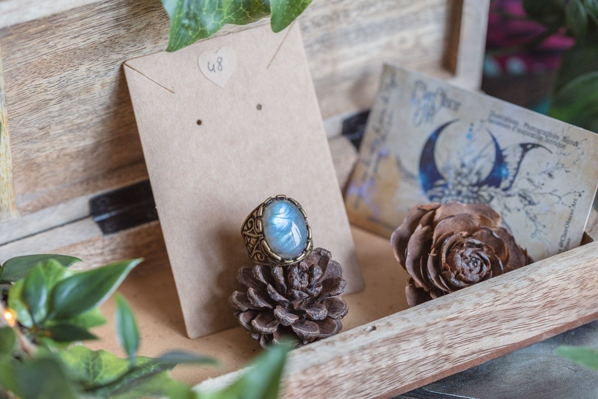 VENTE PRIVÉE D'AUTOMNE - Illustrations & Bijoux fantaisie ClairObscur Art