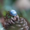 Bague elfique "Elwing" Cyanite - Ajustable - Illustrations & Bijoux fantaisie ClairObscur Art