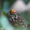 Bague elfique "Elwing" Oeil de Tigre - Ajustable - Illustrations & Bijoux fantaisie ClairObscur Art