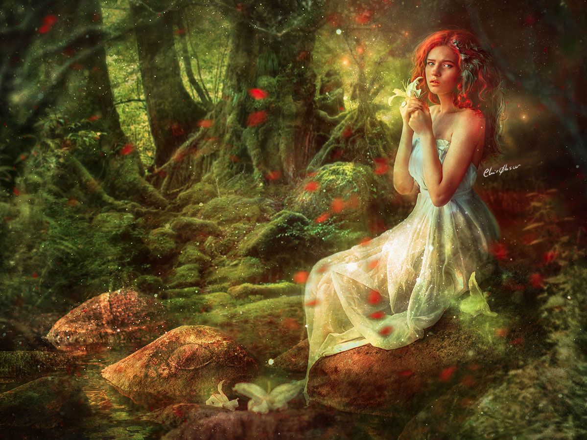Brocéliande - Carte postale - Illustrations & Bijoux fantaisie ClairObscur Art