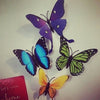 Produits cadeaux : 1 carte postale ClairObscur + 1 sticker mural papillon - Illustrations & Bijoux fantaisie ClairObscur Art
